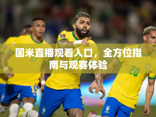 国米直播观看入口，全方位指南与观赛体验