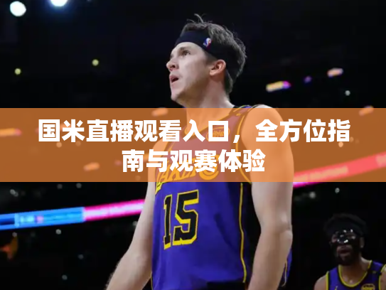 国米直播观看入口，全方位指南与观赛体验