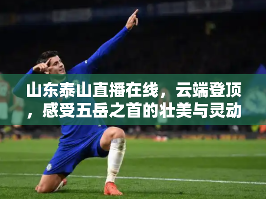 山东泰山直播在线，云端登顶，感受五岳之首的壮美与灵动