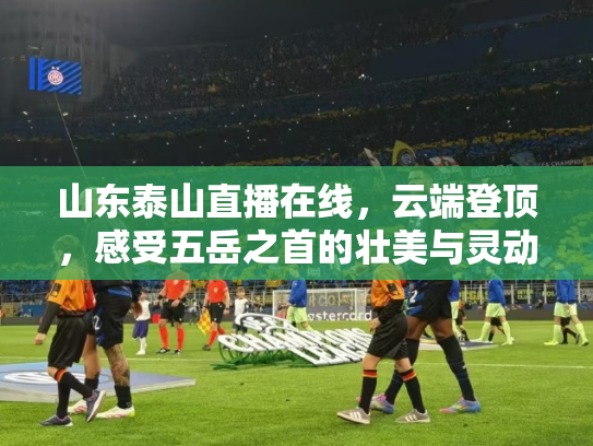 山东泰山直播在线，云端登顶，感受五岳之首的壮美与灵动