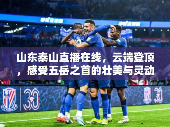 山东泰山直播在线，云端登顶，感受五岳之首的壮美与灵动