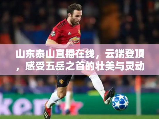 山东泰山直播在线，云端登顶，感受五岳之首的壮美与灵动