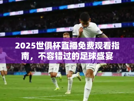 2025世俱杯直播免费观看指南，不容错过的足球盛宴