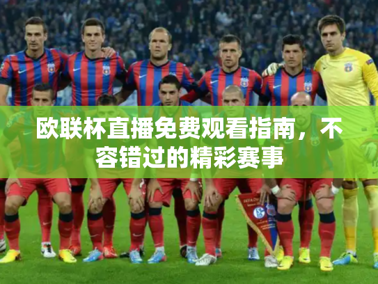 欧联杯直播免费观看指南，不容错过的精彩赛事