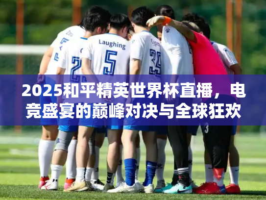 2025和平精英世界杯直播，电竞盛宴的巅峰对决与全球狂欢