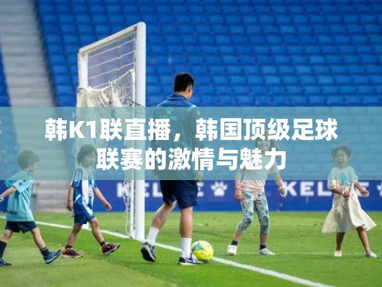 韩K1联直播，韩国顶级足球联赛的激情与魅力
