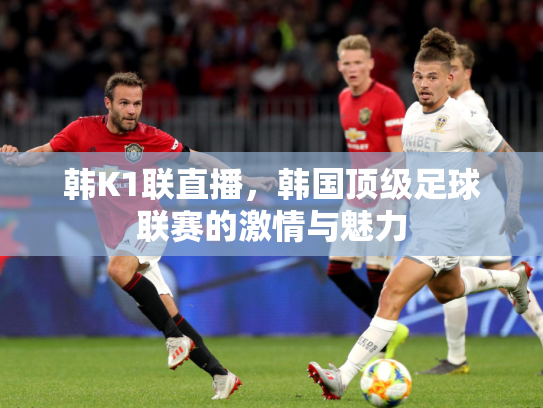 韩K1联直播，韩国顶级足球联赛的激情与魅力