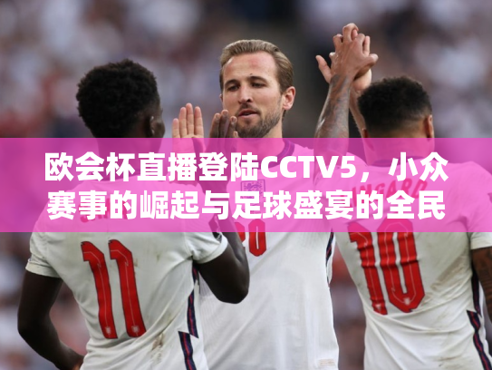 欧会杯直播登陆CCTV5，小众赛事的崛起与足球盛宴的全民共享