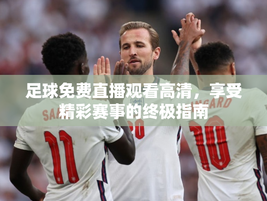 足球免费直播观看高清，享受精彩赛事的终极指南