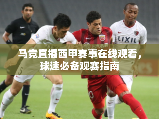 马竞直播西甲赛事在线观看，球迷必备观赛指南
