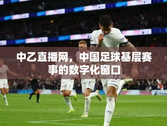 中乙直播网，中国足球基层赛事的数字化窗口