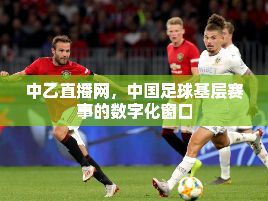 中乙直播网，中国足球基层赛事的数字化窗口