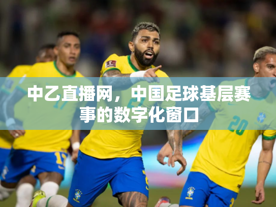 中乙直播网，中国足球基层赛事的数字化窗口