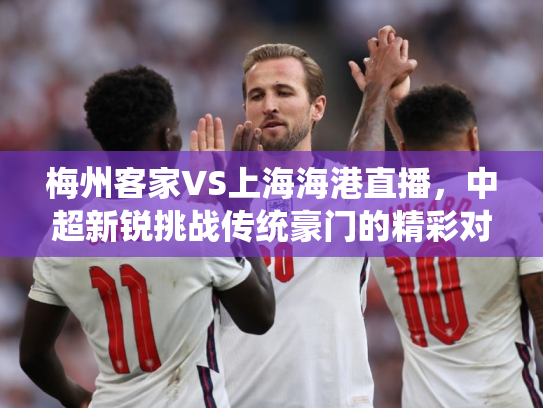 梅州客家VS上海海港直播，中超新锐挑战传统豪门的精彩对决