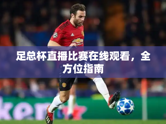 足总杯直播比赛在线观看，全方位指南