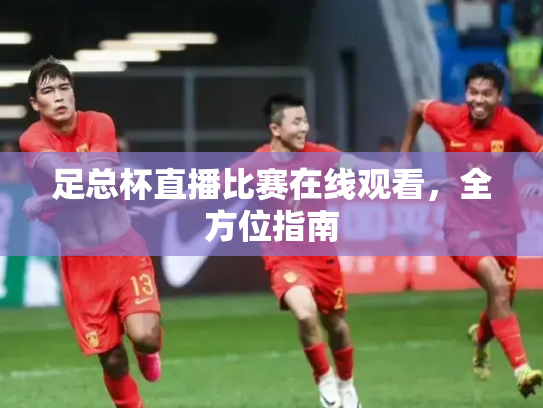 足总杯直播比赛在线观看，全方位指南