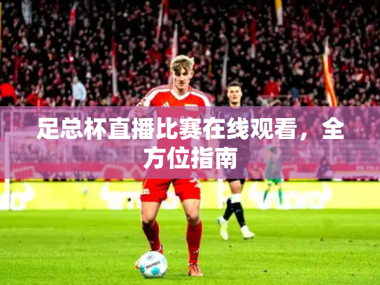 足总杯直播比赛在线观看，全方位指南
