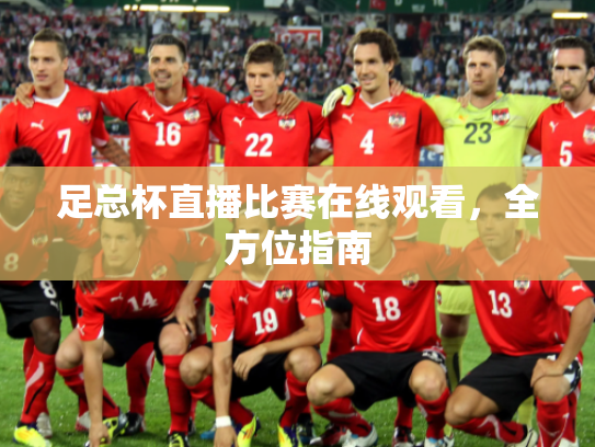 足总杯直播比赛在线观看，全方位指南