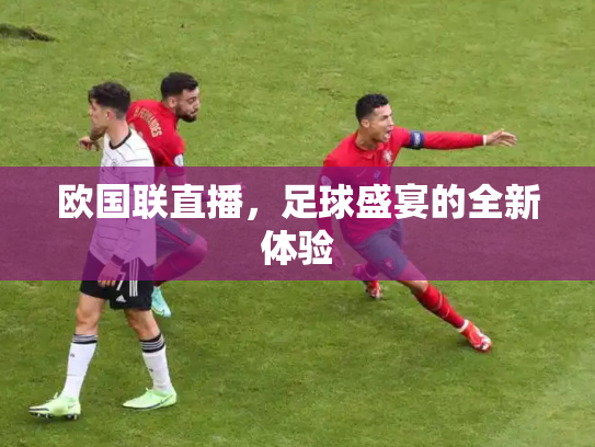 欧国联直播，足球盛宴的全新体验