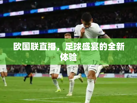 欧国联直播，足球盛宴的全新体验