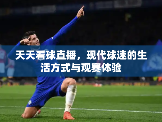 天天看球直播，现代球迷的生活方式与观赛体验