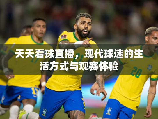 天天看球直播，现代球迷的生活方式与观赛体验