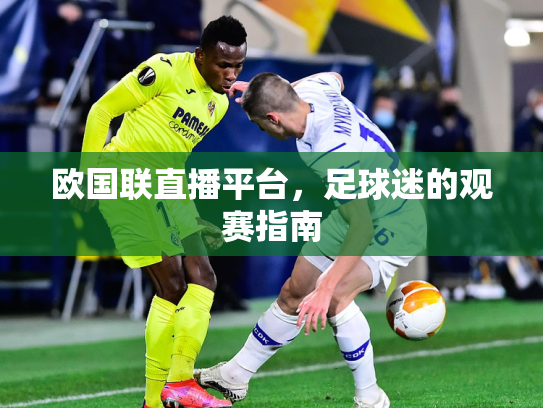 欧国联直播平台，足球迷的观赛指南