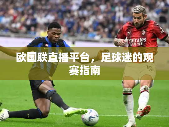 欧国联直播平台，足球迷的观赛指南
