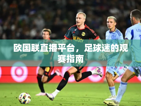 欧国联直播平台，足球迷的观赛指南