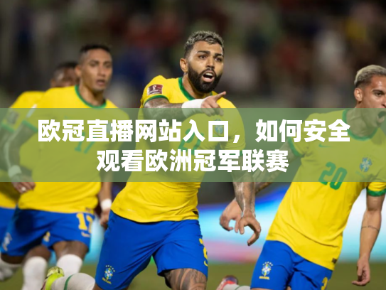 欧冠直播网站入口，如何安全观看欧洲冠军联赛