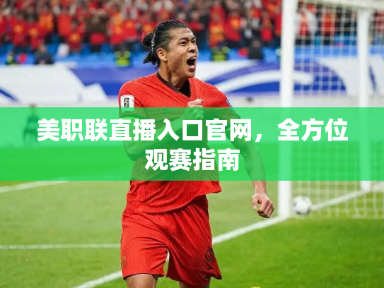 美职联直播入口官网，全方位观赛指南