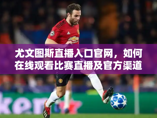 尤文图斯直播入口官网，如何在线观看比赛直播及官方渠道指南