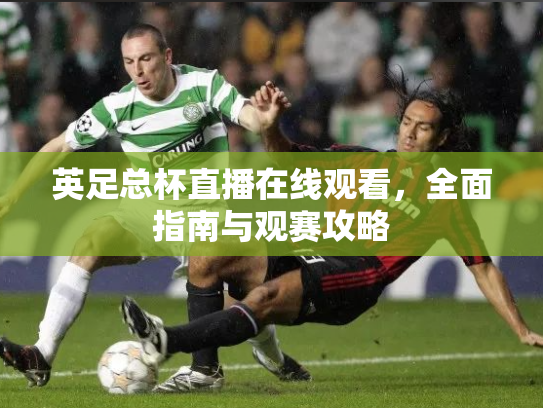 英足总杯直播在线观看，全面指南与观赛攻略