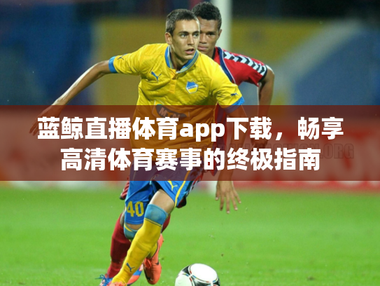 蓝鲸直播体育app下载，畅享高清体育赛事的终极指南