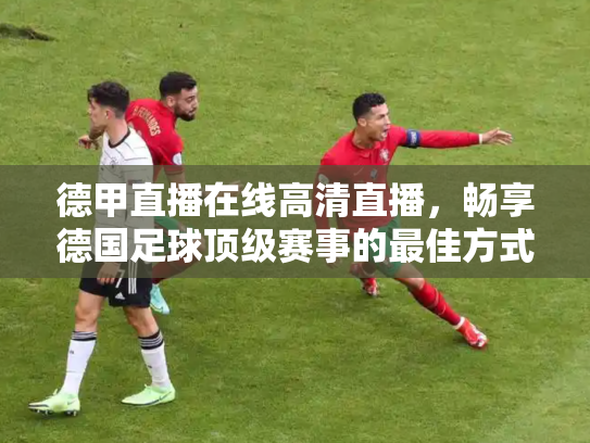 德甲直播在线高清直播，畅享德国足球顶级赛事的最佳方式