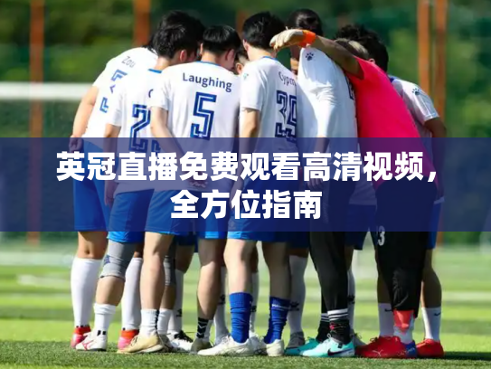 英冠直播免费观看高清视频，全方位指南