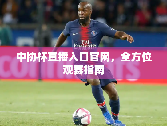 中协杯直播入口官网，全方位观赛指南