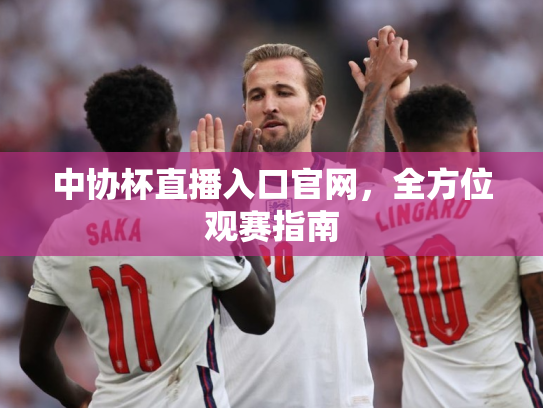 中协杯直播入口官网，全方位观赛指南