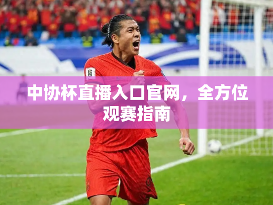 中协杯直播入口官网，全方位观赛指南