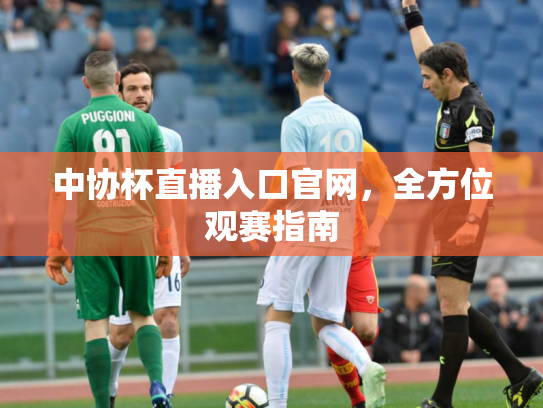 中协杯直播入口官网，全方位观赛指南