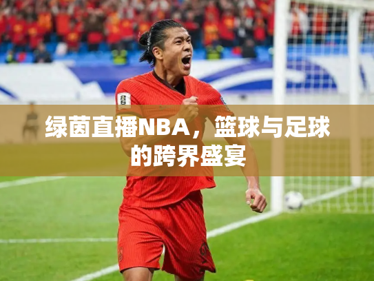 绿茵直播NBA，篮球与足球的跨界盛宴
