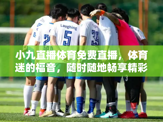 小九直播体育免费直播，体育迷的福音，随时随地畅享精彩赛事