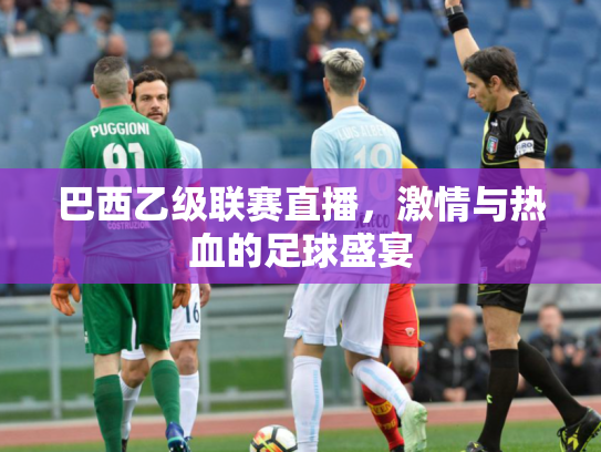 巴西乙级联赛直播，激情与热血的足球盛宴