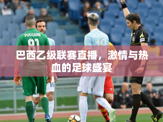 巴西乙级联赛直播，激情与热血的足球盛宴