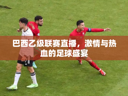 巴西乙级联赛直播，激情与热血的足球盛宴