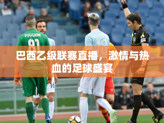 巴西乙级联赛直播，激情与热血的足球盛宴