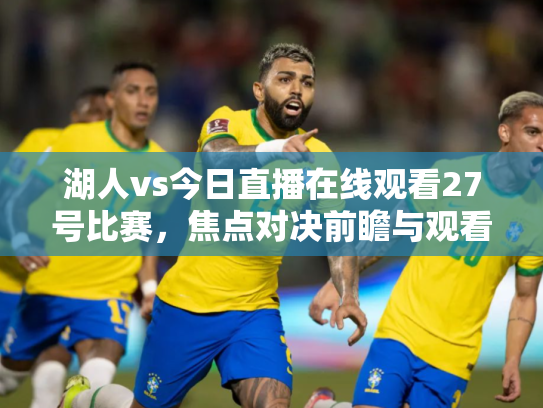 湖人vs今日直播在线观看27号比赛，焦点对决前瞻与观看指南