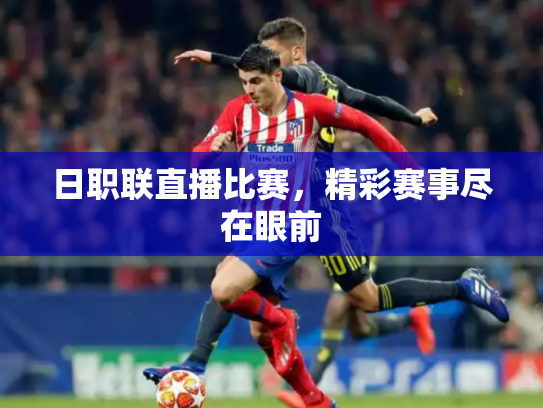 日职联直播比赛，精彩赛事尽在眼前