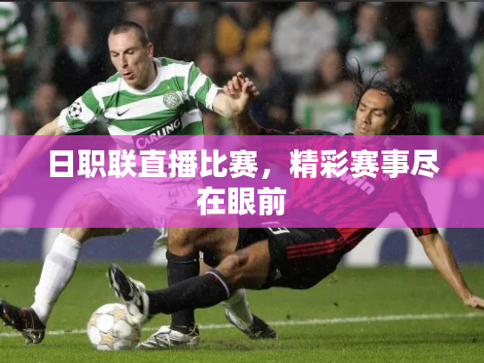 日职联直播比赛，精彩赛事尽在眼前