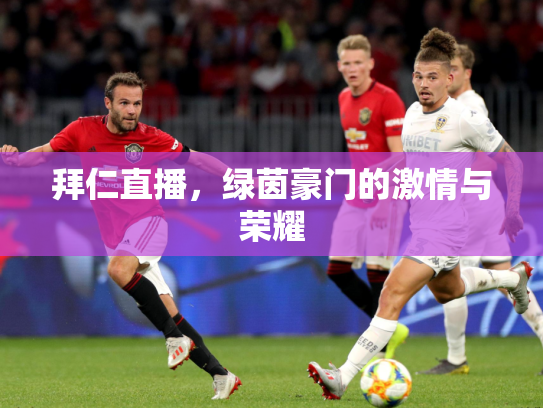 拜仁直播，绿茵豪门的激情与荣耀